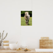 Bob Langrish | Shetland Pony Permanent Poster (Keuken)