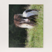 Bob Langrish | Shetland Stallion in Grass Legpuzzel (Verticaal)