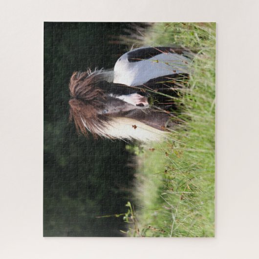 Bob Langrish | Shetland Stallion in Grass Legpuzzel (Verticaal)