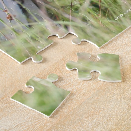 Bob Langrish | Shetland Stallion in Grass Legpuzzel (Zijkant)