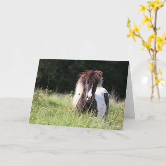 Bob Langrish | Shetland Stallion Standing In Grass Kaart (Gele Bloem)