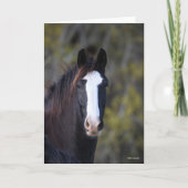 Bob Langrish | Shire Horse Headshot Kaart (Voorkant)