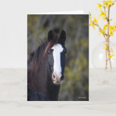 Bob Langrish | Shire Horse Headshot Kaart (Gele Bloem)