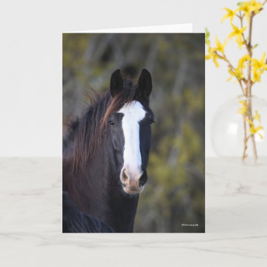 Bob Langrish | Shire Horse Headshot Kaart (Gele Bloem)