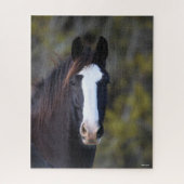 Bob Langrish | Shire Horse Headshot Legpuzzel (Verticaal)