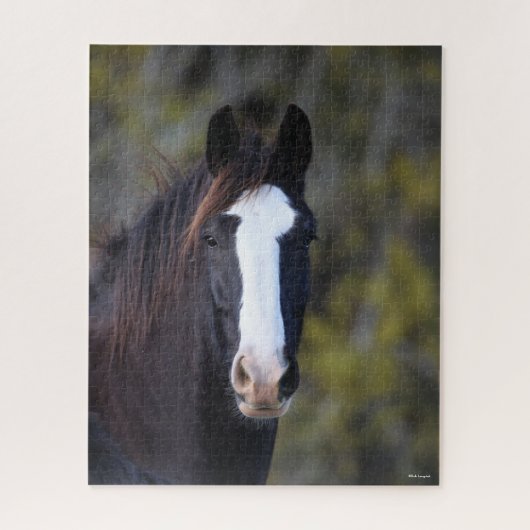 Bob Langrish | Shire Horse Headshot Legpuzzel (Verticaal)