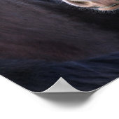 Bob Langrish | Shire Horse Headshot Poster (Hoek)