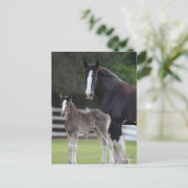 Bob Langrish | Shire Horse Mare and Foal Standing Briefkaart (Staand voorkant)