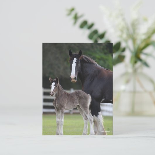 Bob Langrish | Shire Horse Mare and Foal Standing Briefkaart (Staand voorkant)