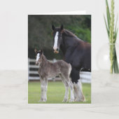 Bob Langrish | Shire Horse Mare and Foal Standing Kaart (Voorkant)