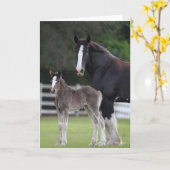 Bob Langrish | Shire Horse Mare and Foal Standing Kaart (Gele Bloem)