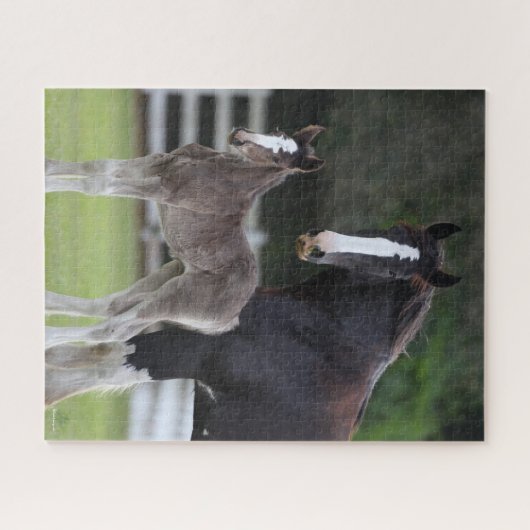 Bob Langrish | Shire Horse Mare and Foal Standing Legpuzzel (Horizontaal)