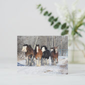 Bob Langrish | Sneeuwbeslag Briefkaart (Staand voorkant)