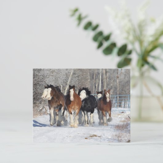 Bob Langrish | Sneeuwbeslag Briefkaart (Staand voorkant)