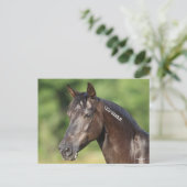 Bob Langrish | Spaans Mustang Mare Headshot Briefkaart (Staand voorkant)