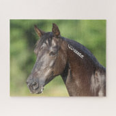 Bob Langrish | Spaans Mustang Mare Headshot Legpuzzel (Horizontaal)