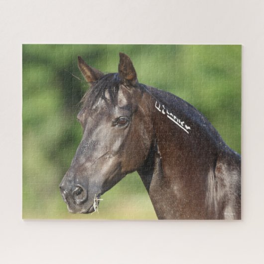 Bob Langrish | Spaans Mustang Mare Headshot Legpuzzel (Horizontaal)