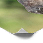 Bob Langrish | Spaans Mustang Mare Headshot Poster (Hoek)