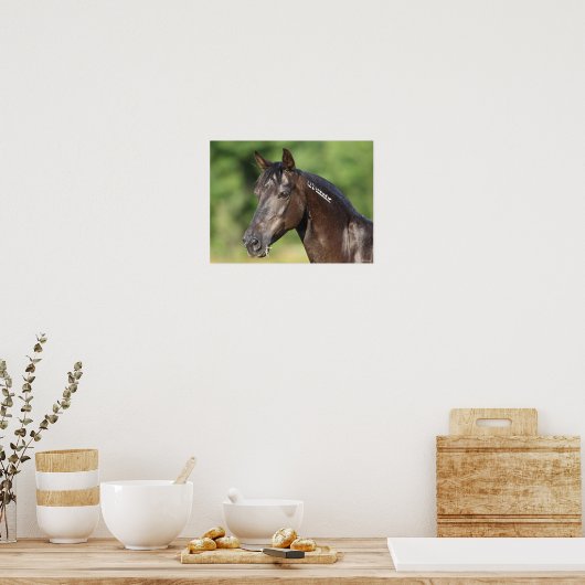 Bob Langrish | Spaans Mustang Mare Headshot Poster (Keuken)