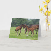 Bob Langrish | Sport Horse Foals Paling Kaart (Gele Bloem)