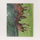 Bob Langrish | Sport Horse Foals Paling Legpuzzel (Verticaal)