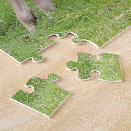 Bob Langrish | Sport Horse Foals Paling Legpuzzel (Zijkant)