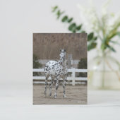 Bob Langrish | Spotty Appaloosa Friesian Standing Briefkaart (Staand voorkant)