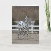 Bob Langrish | Spotty Appaloosa Friesian Standing Kaart (Voorkant)