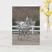 Bob Langrish | Spotty Appaloosa Friesian Standing Kaart (Gele Bloem)