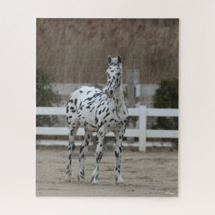 Bob Langrish Spotty Appaloosa Friesian Standing Legpuzzel
