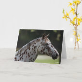 Bob Langrish | Spotty Appaloosa Headshot Kaart (Gele Bloem)