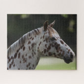 Bob Langrish | Spotty Appaloosa Headshot Legpuzzel (Horizontaal)