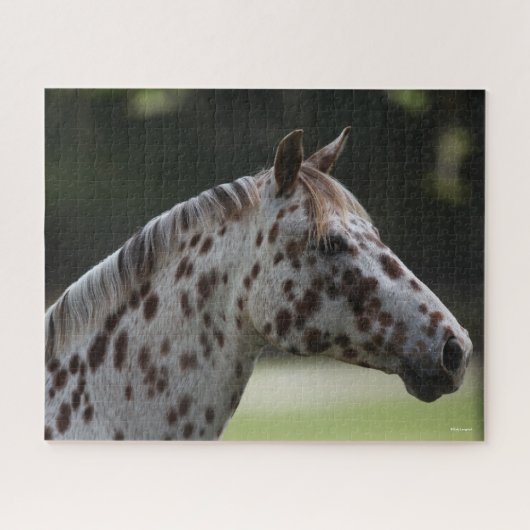 Bob Langrish | Spotty Appaloosa Headshot Legpuzzel (Horizontaal)