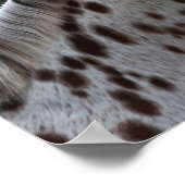 Bob Langrish | Spotty Appaloosa Headshot Poster (Hoek)