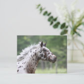 Bob Langrish | Spotty Knapstrupper Headshot Briefkaart (Staand voorkant)