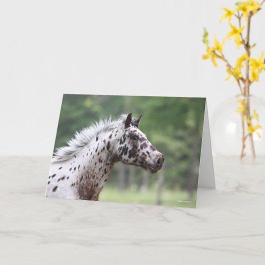 Bob Langrish | Spotty Knapstrupper Headshot Kaart (Gele Bloem)