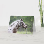 Bob Langrish | Spotty Knapstrupper Headshot Kaart (Voorkant)