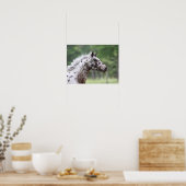 Bob Langrish | Spotty Knapstrupper Headshot Poster (Keuken)