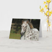 Bob Langrish | Spotty Pony of America Headshot Kaart (Gele Bloem)