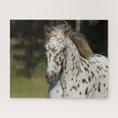 Bob Langrish | Spotty Pony of America Headshot Legpuzzel (Horizontaal)