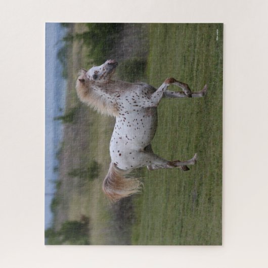 Bob Langrish | Spotty Pony of America Legpuzzel (Verticaal)