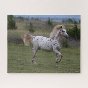 Bob Langrish Spotty Pony of America Legpuzzel