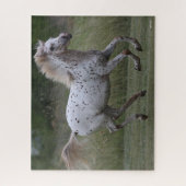 Bob Langrish | Spotty Pony of America Runing Legpuzzel (Verticaal)