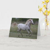 Bob Langrish | Spotty Pony Of America Running Kaart (Gele Bloem)