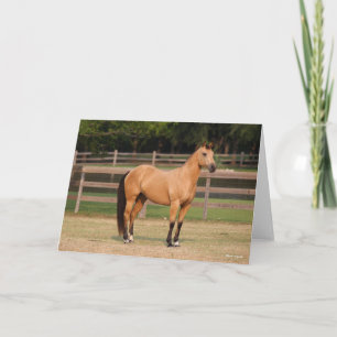 Bob Langrish   Steek kwartelpaard Kaart