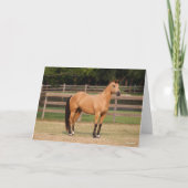 Bob Langrish | Steek kwartelpaard Kaart (Voorkant)
