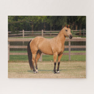 Bob Langrish Steek kwartelpaard Legpuzzel