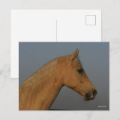 Bob Langrish | Tennessee Walker Misty Headshot Briefkaart (Voorkant / Achterkant)