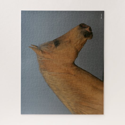 Bob Langrish | Tennessee Walker Misty Headshot Legpuzzel (Verticaal)