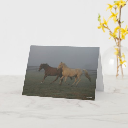 Bob Langrish | Tennessee Walking Horses Running Kaart (Gele Bloem)